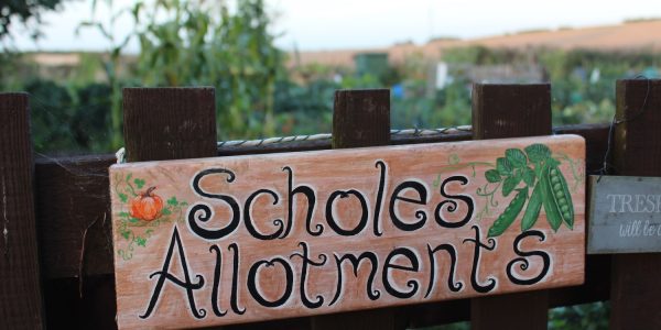 Scholes allotments Scholes allotments