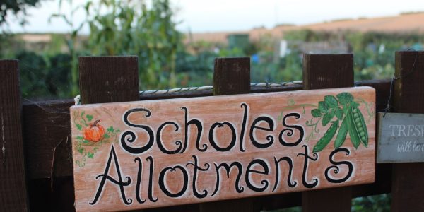 Scholes allotments